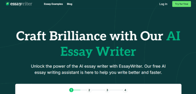 EssayWriter